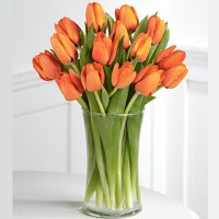 oranzove tulipany